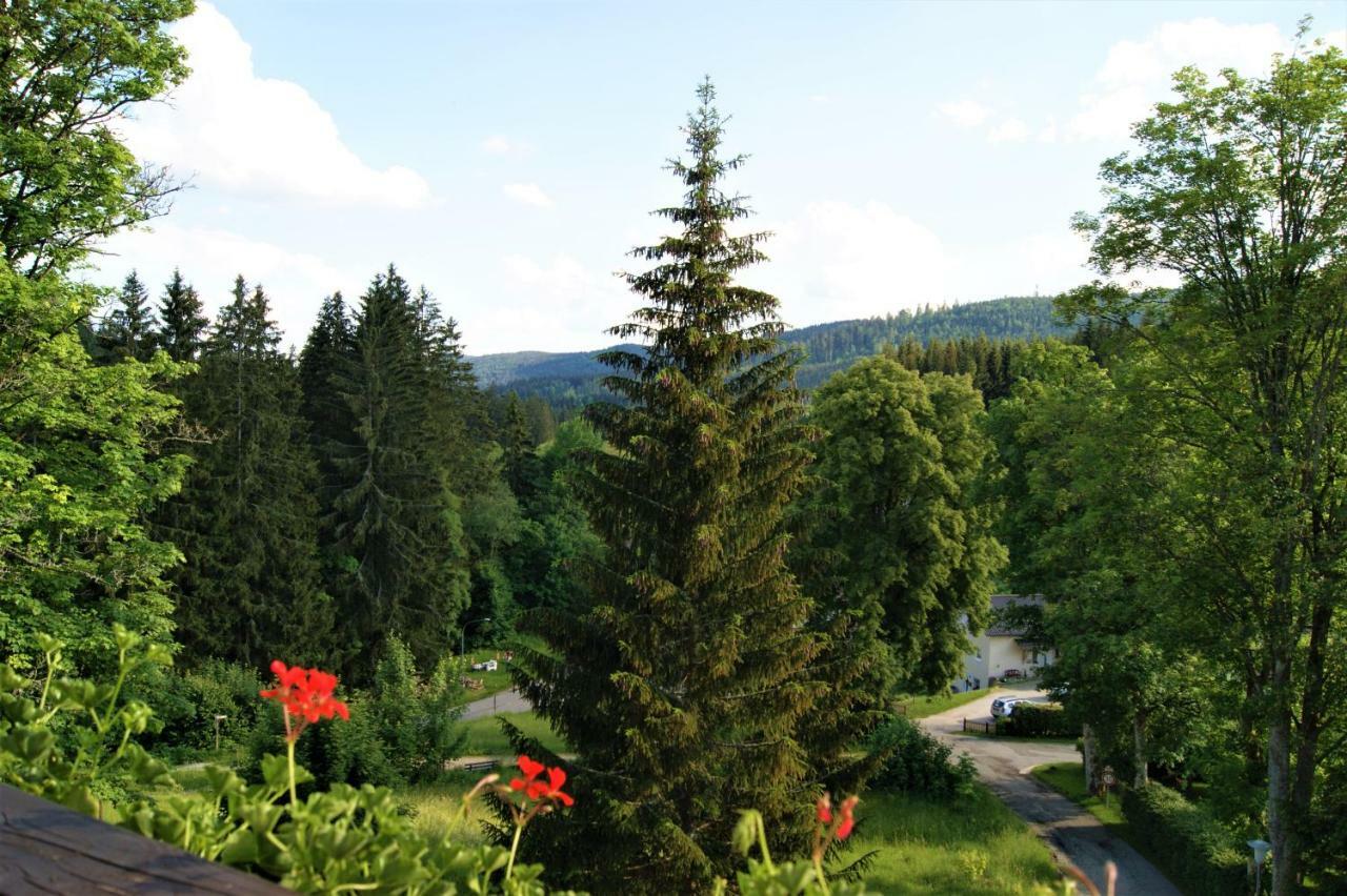 Penzion Sumavacek Bayerisch Eisenstein Bagian luar foto